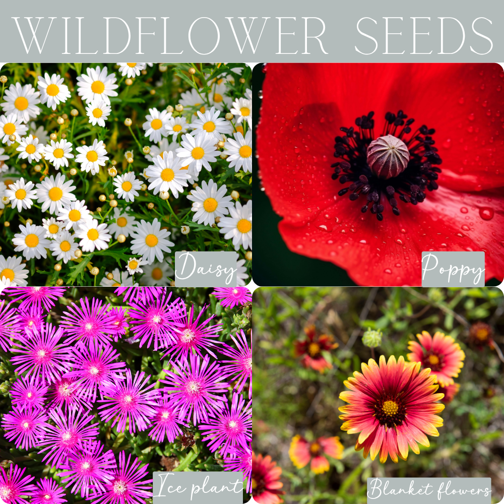 Wildflower-Themed Seed Paper Birthday Invitation – 5x7" Eco-Friendly Card
