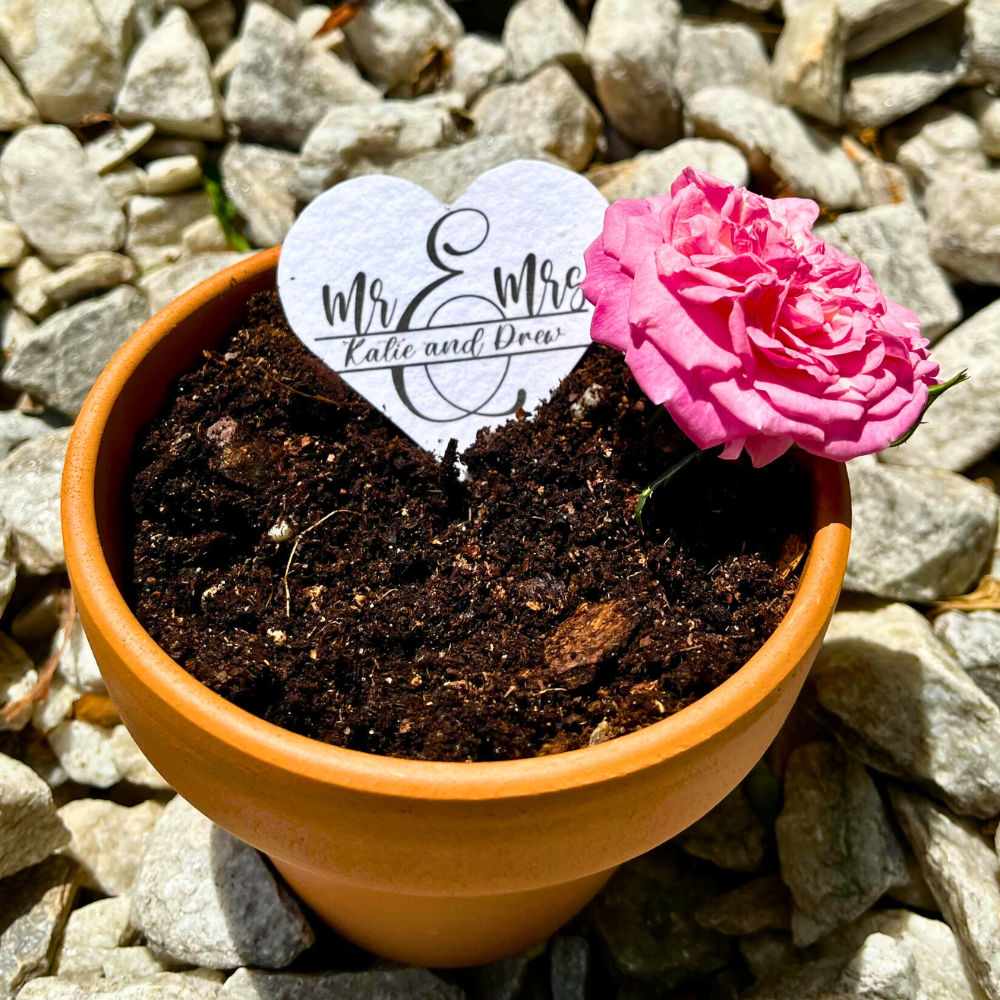 Custom Wedding Favor Seed Paper Hearts Gift for Guests from Bride and Groom Heart Shaped Plantable Party Favor Labels with Wildflower Seeds